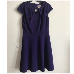 Purple Dress A-Line